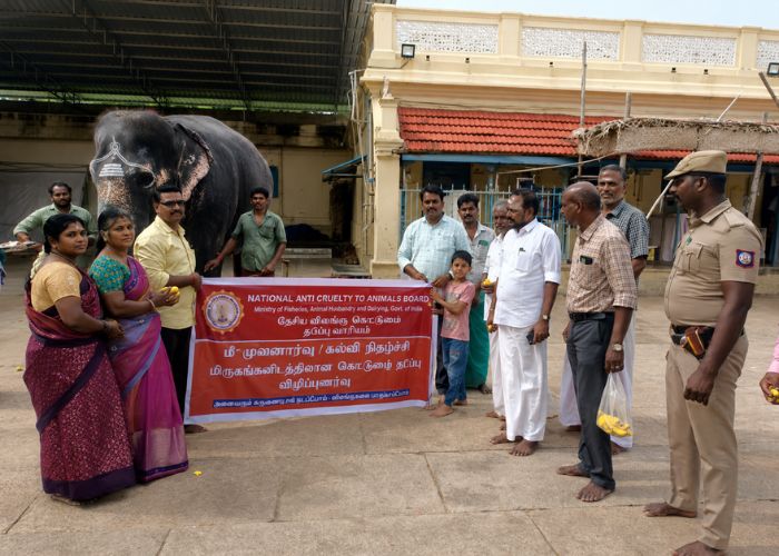 Hindu Cultural Protection